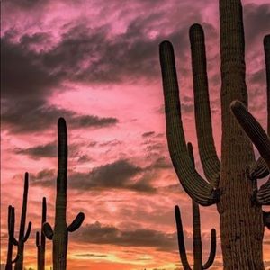 Meet your Posher, Edwin